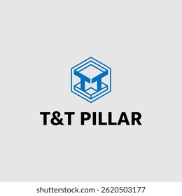 Initial letter TT logo with hexagon symbol design template inspiration