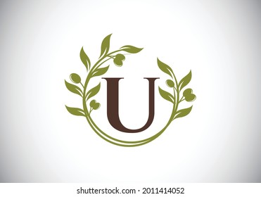 Initial letter U sign symbol with olive branch wreath. Round floral frame made by the olive branch. Agriculture industry logo design vector template. Olive oil label