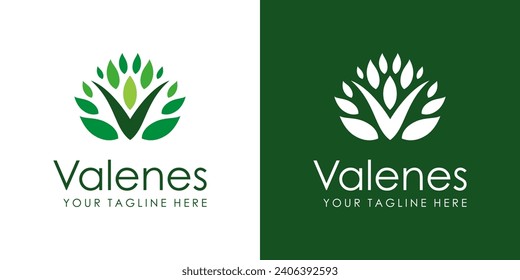 initial letter v logo design template elements
