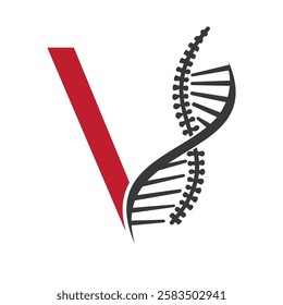 Initial Letter V Spin Therapy Logo, Orthopedic Symbol For Medical and Healthcare Icon