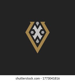 Initial Letter VX or XV Logo Template Design Vector