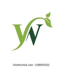 Initial Letter w With Leaf Luxury Logo. Green leaf logo Template vector Design.
