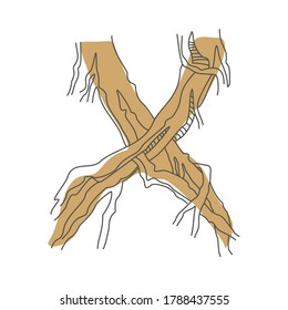 Letra inicial X. Fuente decorativa a partir de raíces de árbol. Diseño ambiental. Tipografía de la naturaleza