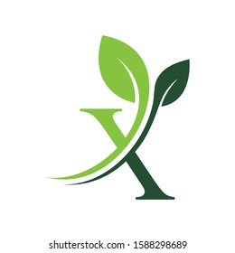 Initial Letter X With Leaf Luxury Logo. Green leaf logo Template vector Design.