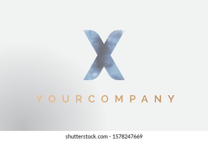 Initial letter X Logo Isolated on blue. Vector Smoke