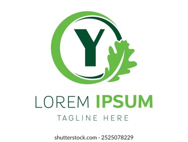 initial letter Y oak leaf in a circle logo design Vector
