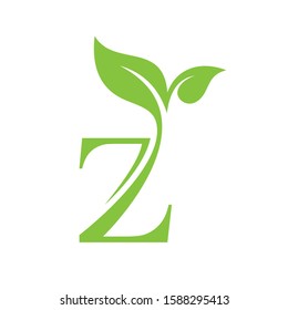 Initial Letter Z With Leaf Luxury Logo. Green leaf logo Template vector Design.
