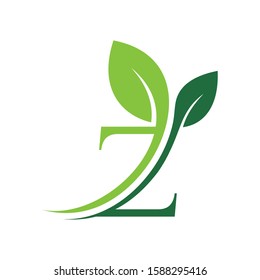 Initial Letter Z With Leaf Luxury Logo. Green leaf logo Template vector Design.

