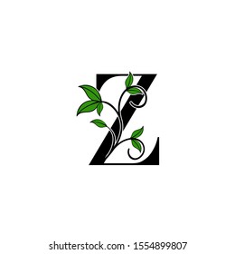 Initial Letter Z logo icon.  Design concept Nature green leaves with letter logo icon black color.