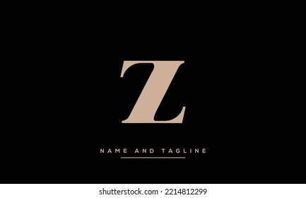 Letra inicial alfabeto zZ icono vectorial mínimo