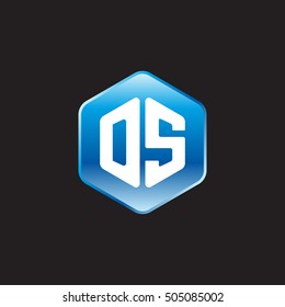 Initial letters DS rounded hexagon shape blue modern logo