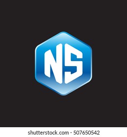 Initial letters NS rounded hexagon shape blue modern logo