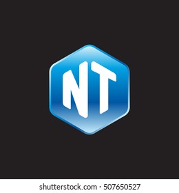 Initial letters NT rounded hexagon shape blue modern logo
