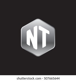 Initial letters NT rounded hexagon shape silver modern logo