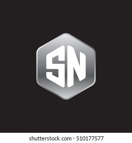 Initial letters SN rounded hexagon shape silver modern logo