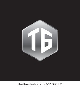 Initial letters TG rounded hexagon shape silver modern logo