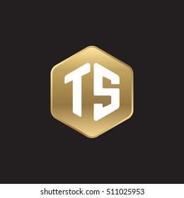 Initial letters TS rounded hexagon shape gold modern logo