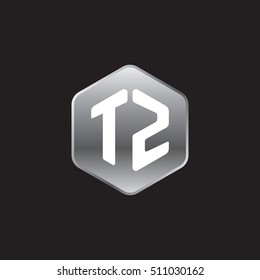 Initial letters TZ rounded hexagon shape silver modern logo