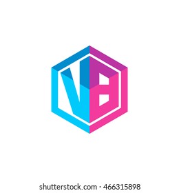 Initial letters VB hexagon box shape logo blue pink purple