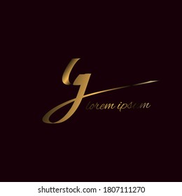 Initial Lg handwriting logo template vector