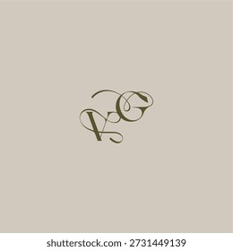 anfänglich in luxuriösem logomark konzept VG hochzeit monogramm logo buchstabe feminin eleganten stil design