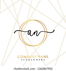 AN Initial luxury handwriting logo vector