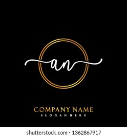AN Initial luxury handwriting logo vector