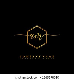 AM Initial luxury handwriting logo vector