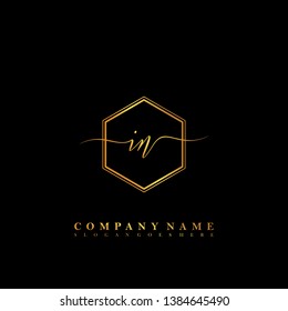 IN Initial luxury handwriting logo vector