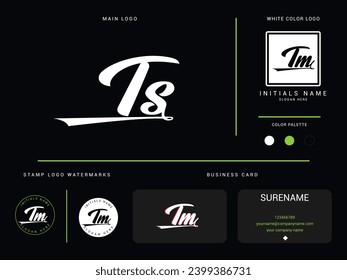 Diseño de imagen vectorial de la carta con logotipo TS st de lujo inicial para finanzas o negocios