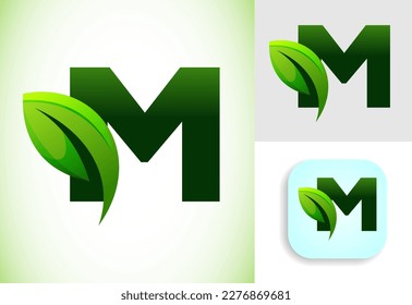 Initial M alphabet with a leaf. Eco-friendly logo concept. Graphic alphabet symbol for business and company identity.