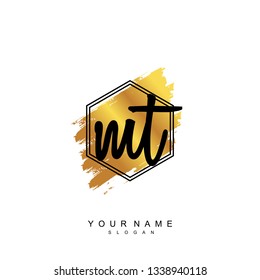 Initial MT handwriting logo vector