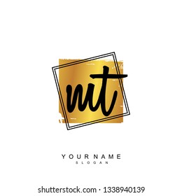 Initial MT handwriting logo vector