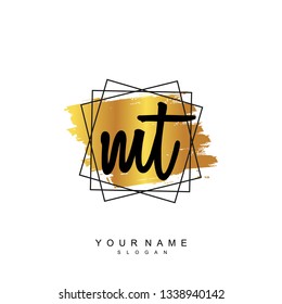 Initial MT handwriting logo vector