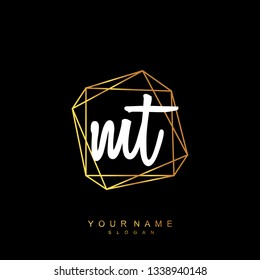 Initial MT handwriting logo vector