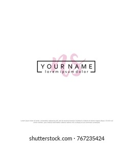 Initial N & S elegant logo template vector