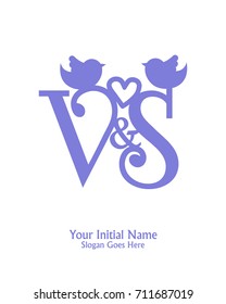 Initial name V & S logo template vector 