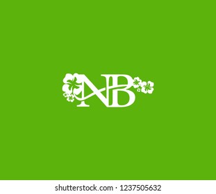 Initial NB Letter with Abstract Hibiscus Flower Swoosh Monogram Logotype