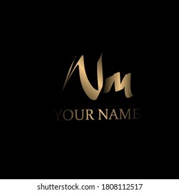 Initial Nm handwriting logo template vector