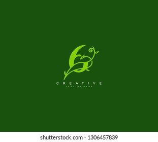 Initial Number 6 Monogram Filigree Logotype
