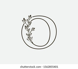 Initial O Letter Logo Icon,  Created with Hand Drawn Plant Branches. Nature Leaf O Letter Design 