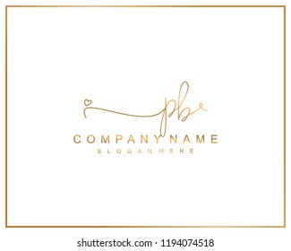 Initial P B handwriting logo template vector
