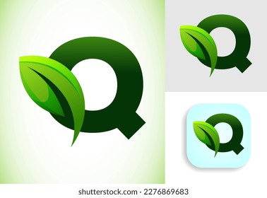 Initial Q alphabet with a leaf. Eco-friendly logo concept. Graphic alphabet symbol for business and company identity.
