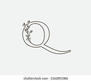 Initial Q Letter Logo Icon,  Created with Hand Drawn Plant Branches. Nature Leaf Q Letter Design 
