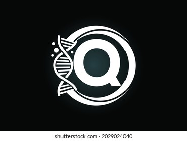 Initial Q monogram alphabet in a circle with DNA. Genetics logo design concept. Font emblem. Logo for medicine, science, laboratory, business, and company identity