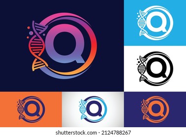 Initial Q monogram alphabet in a circle with DNA. Genetics logo design concept. Logo for medicine, science, laboratory, business, and company identity