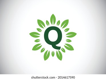 Initial Q monogram letter alphabet with leaf wreath. Green leaf, flower logo design concept. Modern vector logo design for business, and company identity
