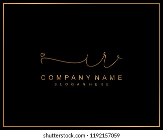 Initial I R handwriting logo template vector