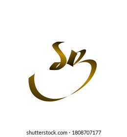 vector del logotipo de escritura a mano SB inicial