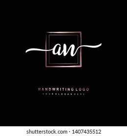 AN initial signature logo. handwriting logo template vector,